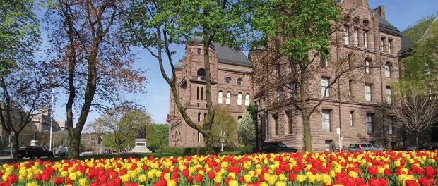 Photo of the Queen's Park building with bloomed tulips in the foreground