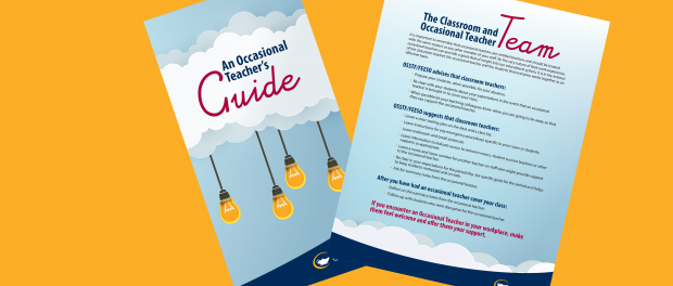 Image of the OT Guide pamphlet and OT Team flyer