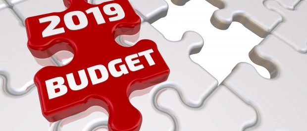 puzzle piece that says 2019 budget