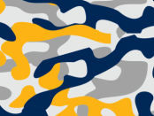 Camo in OSSTF Colours