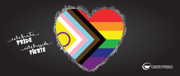Heart with the 2SLGBTQIA+ flag inside