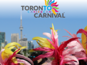 feathers and the CN tower in the background