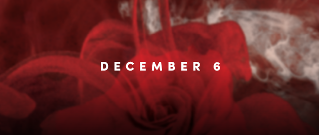 Blurry rose in the background to represent Dec 6