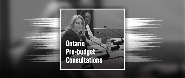 Martha at the Pre-Budget Consultations
