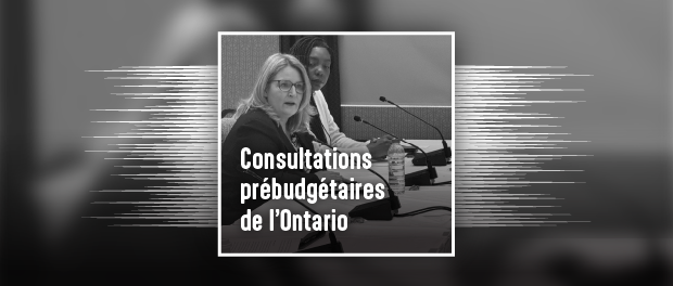 Martha at the Pre-Budget Consultations