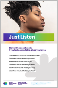 Social-Emotional Learning (S-E-L) Posters