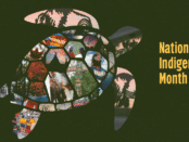 National Indigenous History Month. Turtle with lots of Indigenous pictures in it.