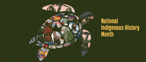 National Indigenous History Month. Turtle with lots of Indigenous pictures in it.