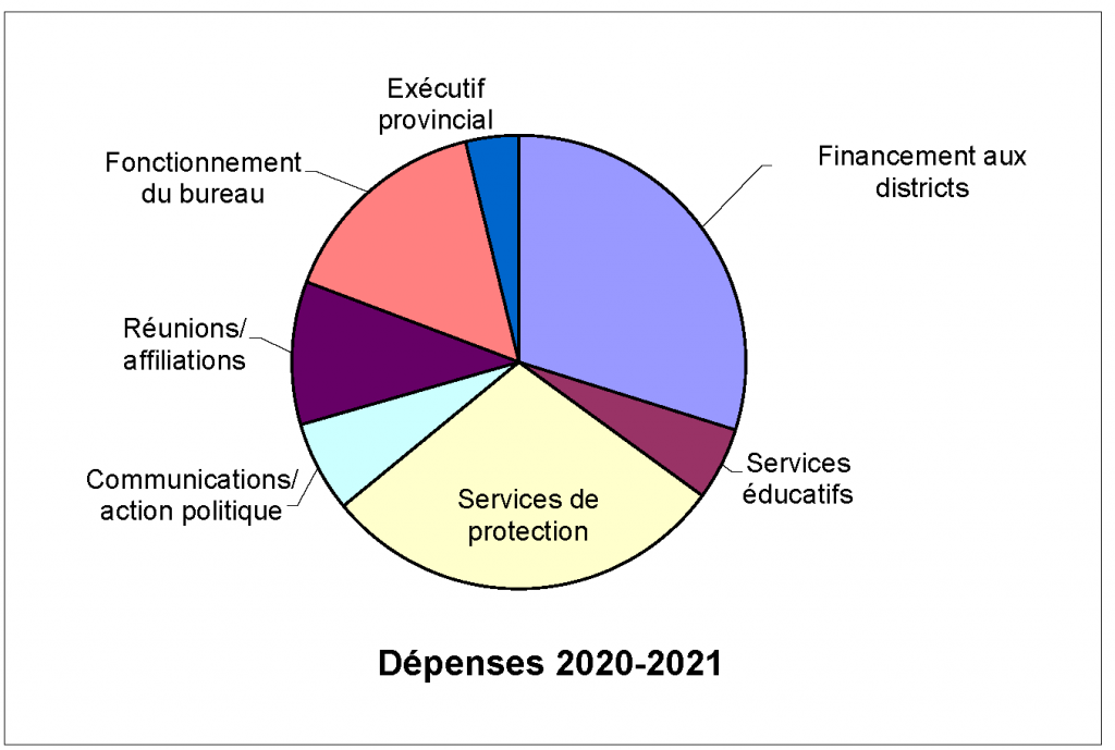 fr-Graph - 2021 - Audit at a Glance (Update Article)